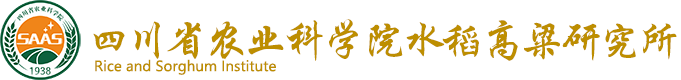 省农科院水稻高粱所