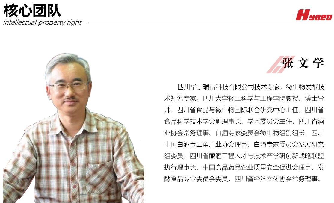 张文学教授